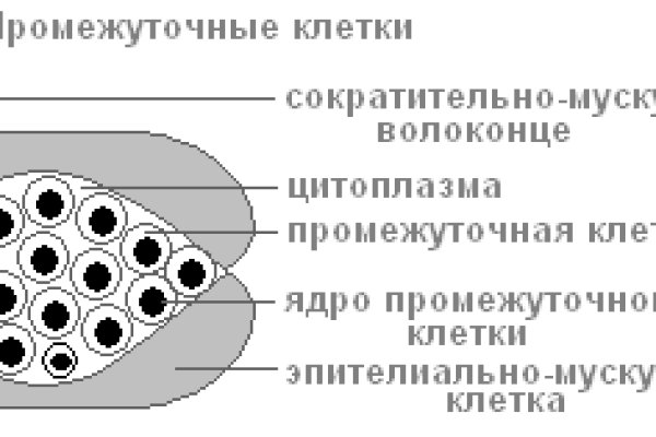 Как зайти в кракен с андроида