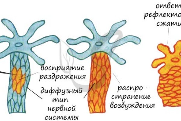 Актуальный сайт кракена